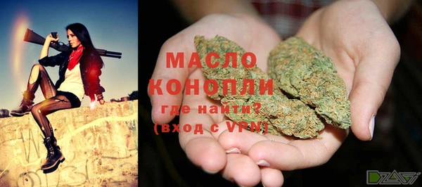 молекула духа Горнозаводск